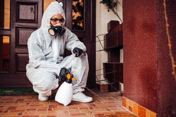 Attic and Crawl Space Rodent Treatment in Oceana
