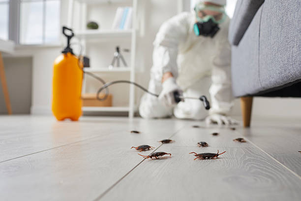 Commercial Rodent Management in Oceana